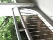 國內某院校公共女廁拍攝到的各式學妹如廁噓噓 貌似顏值得蠻高還未開苞 720P高清完整版