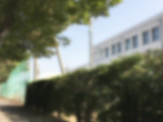 [MEYD-920] 把纯洁学生吃光的香苗老师诱惑榨精授课 夢実かなえ【破解】 - 1of5