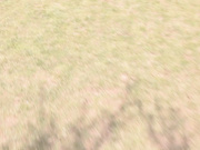 [DV-1184] 全日本都期待的国民偶像 中西里菜 AV DEBUT【破解】 - 1of5