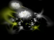 C0930 ki241201 稲村 緑 32歳