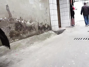 嫖妓達人城中村約了個打扮時髦的短裙妹子全套服務 手擼雞巴騎乘後入給操幹得嗷嗷直叫 貌似沒幹多久逼逼有點緊 1080P高清