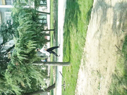 最新流出廁拍大神潛入某公共衛生間拍攝各式美女少婦如廁 貌似有個身材高挑長發美女私處保養的非常好 1080P高清原版