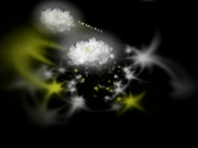 C0930 ki250119 豊田 雪江 42歳