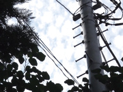 [GVG-615] お色気P●A会長と悪ガキ生徒会 篠田ゆう【破解】 - 1of5