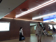 [PKPD-351] 素人セフレドキュメント バイト先の先輩と生でハメ倒すJD まゆ - 1of5