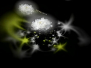 H4610 ki240711 井上 美佳