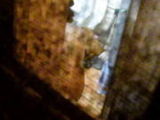 夜晚趴窗戶邊偷拍小區出租屋裏不同單身女性私密生活 形態各異樣式看得誘惑十足 720P高清原版