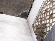 某縣城菜市場旁邊公共旱廁拍攝到的漂亮小少婦如廁 肥嫩大屁股看得誘惑十足～1080P高清