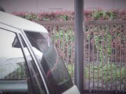 [NSFS-224] 投稿実話 マジックミラー寝取られセックス3 美澄玲衣 【破解】 - 1of5