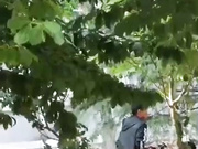 最新门事件刚放假某省财经大学宿舍没装空调情侣跑到院子里的树荫下啪啪几个同学躲在宿舍里偷窥调侃