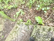 户外乱伦淫荡继母❤️周末带着继母去山里我掀起她的性感蕾丝没想到继母居然连内裤都没穿最后无情内射她无水印原版