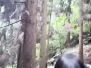 户外乱伦淫荡继母❤️周末带着继母去山里我掀起她的性感蕾丝没想到继母居然连内裤都没穿最后无情内射她无水印原版