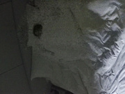 大学城经典超长视频 拍到一对完美炮搭子 男的胖女的靓 丝袜破坏 边做还边自己拍 女的有点像单依纯1