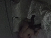 大学城经典超长视频 拍到一对完美炮搭子 男的胖女的靓 丝袜破坏 边做还边自己拍 女的有点像单依纯1