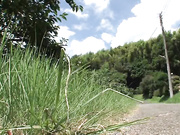 [AVOP-304]  【AVOPEN2017】爆乳に成長した同級生と1泊2日のハーレム中出し同窓会 佐倉ねね 藤咲エレン 優月まりな 若槻みづなA