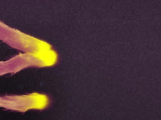 BFFS.18.11.10.Beer.Pong.Besties