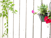 [SNIS-132] 新人NO.1STYLE 庵野杏 AV出道 - 1of5