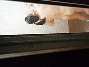 偷拍楼下邻居少妇洗澡奶头粉粉的真大