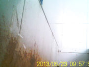 6月沟厕--连拍两只