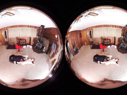 Malificent Lotus Disciplines Mae West