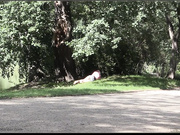 高挑白人超美少妇公园漏白虎粉穴长得像莫尼卡