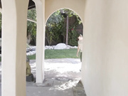 娇小女孩小穴粗大肉棒插入阴道干到射爱液