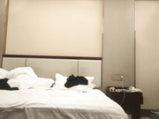 小姐姐共度鱼水之欢小伙体力强悍直接干瘫在床